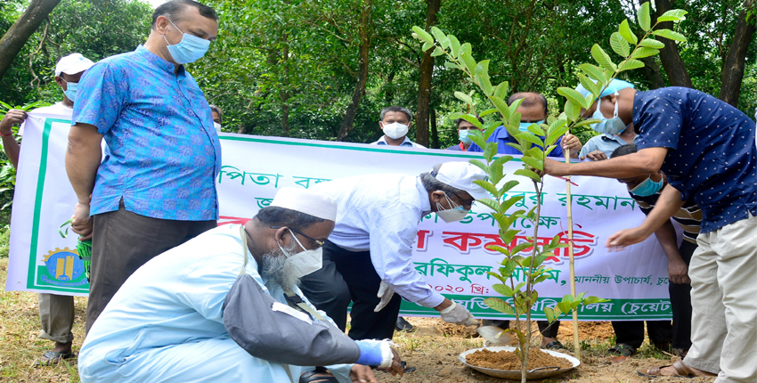 Tree Plantation Program on Mujib Year observed at CUET.