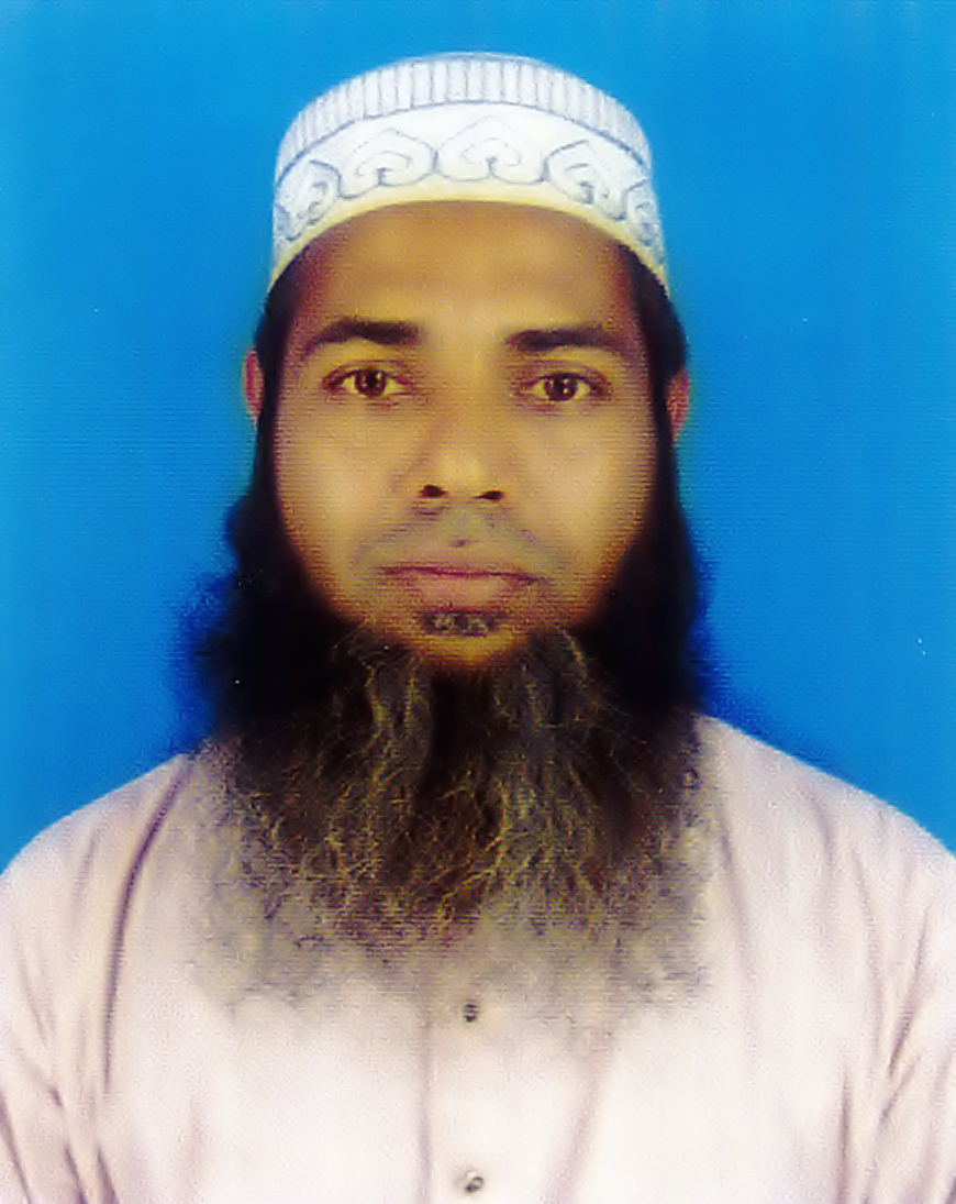 Mohammad  Wahidul Islam